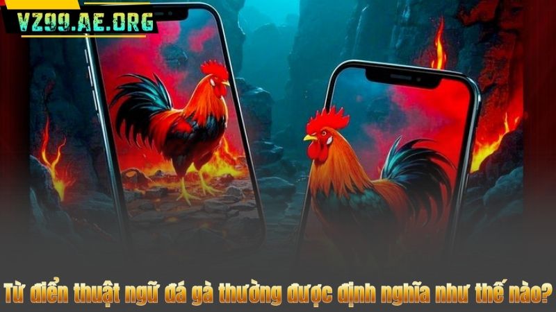 Từ điển thuật ngữ đá gà thường được định nghĩa như thế nào?